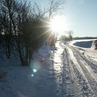 Spaziergang im Schnee