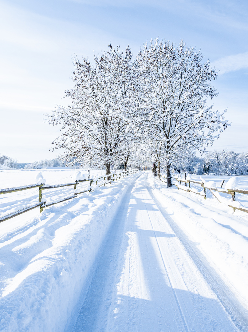 Spaziergang im Schnee