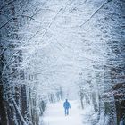 Spaziergang im Schnee