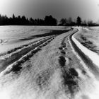 Spaziergang im Schnee