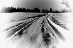 Spaziergang im Schnee