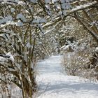 Spaziergang im Schnee