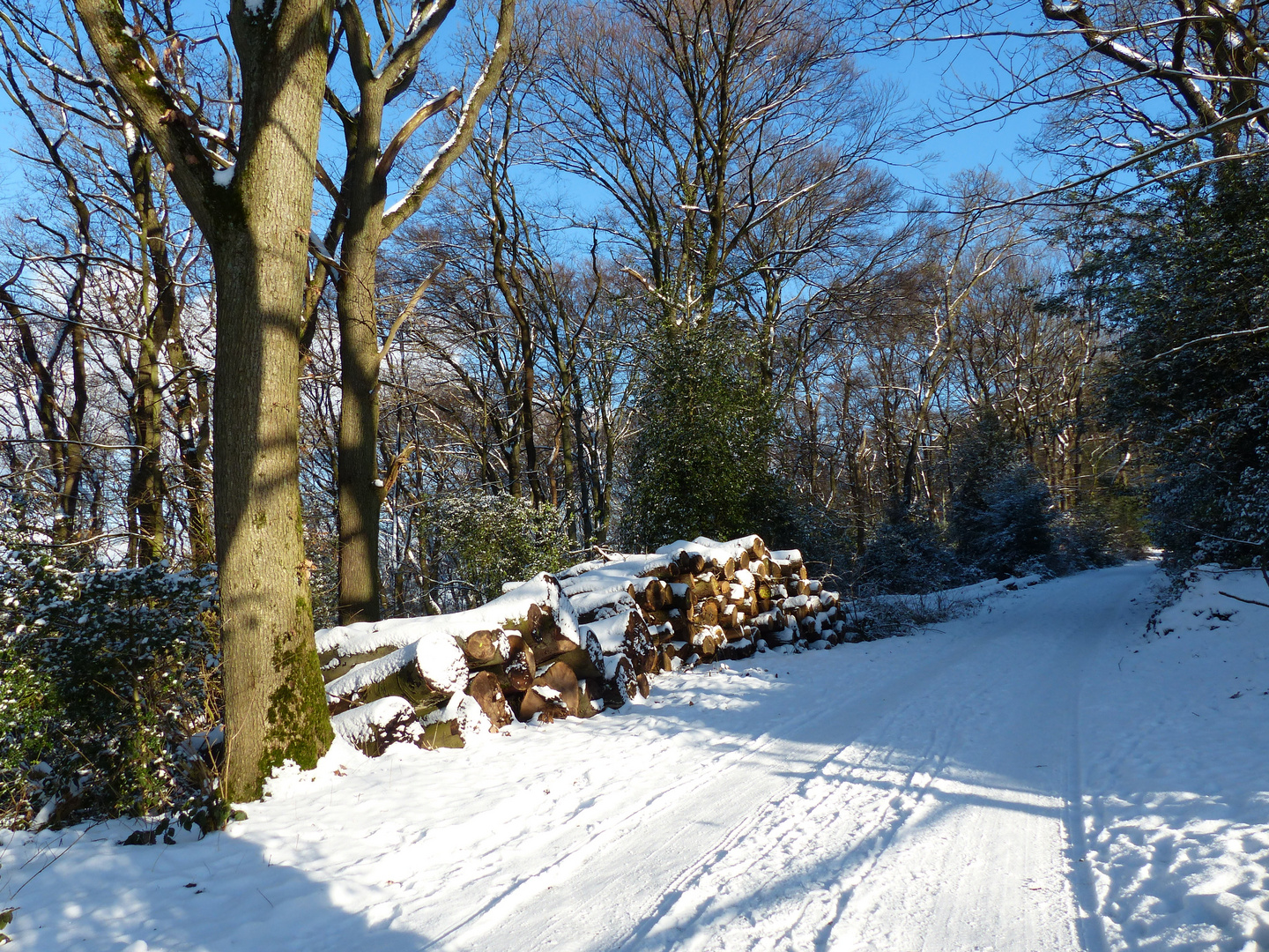 Spaziergang im Schnee