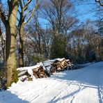 Spaziergang im Schnee