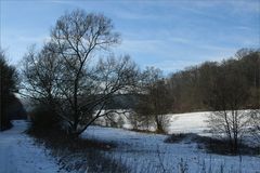 Spaziergang im Schnee