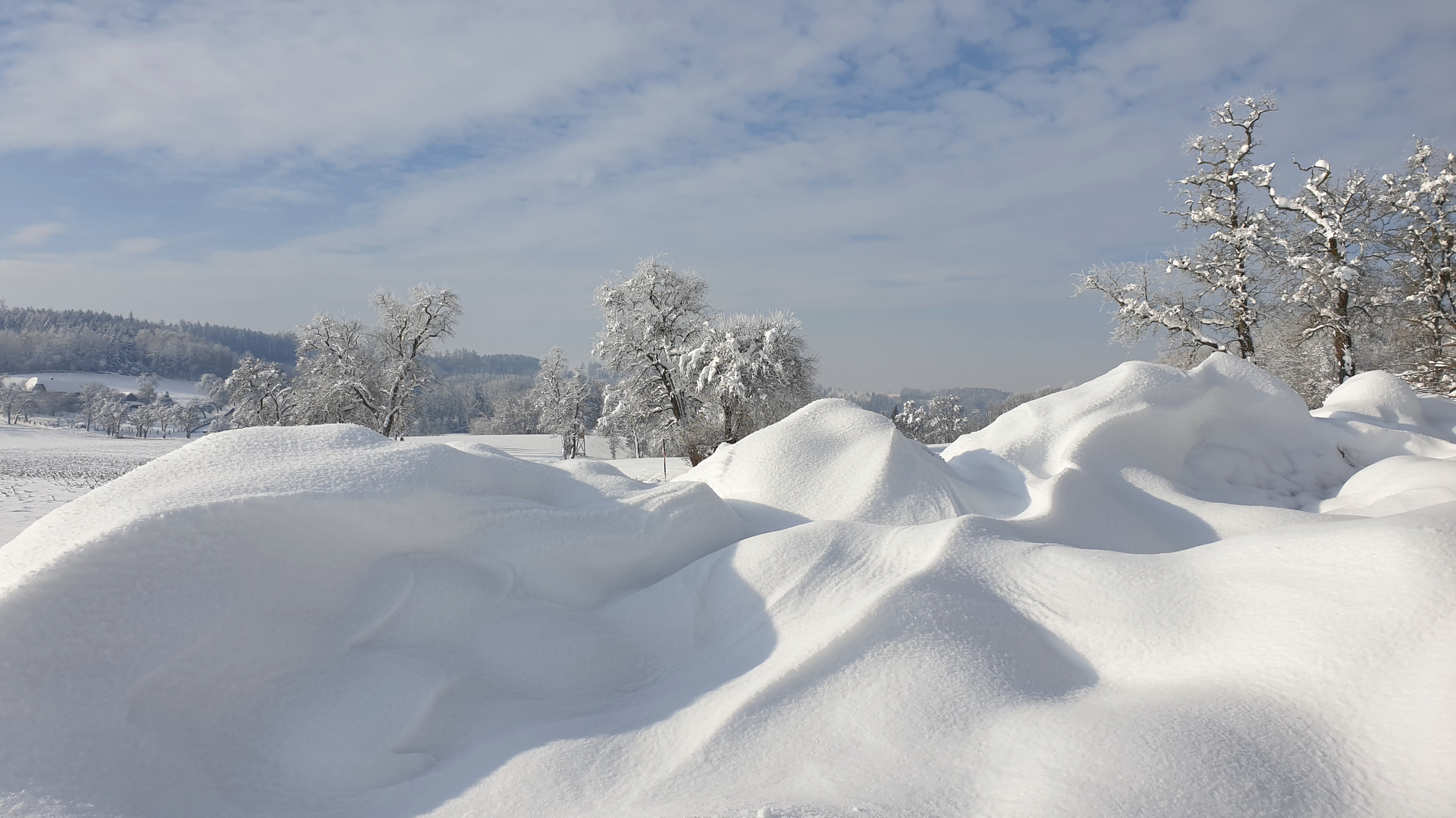 Spaziergang im Schnee