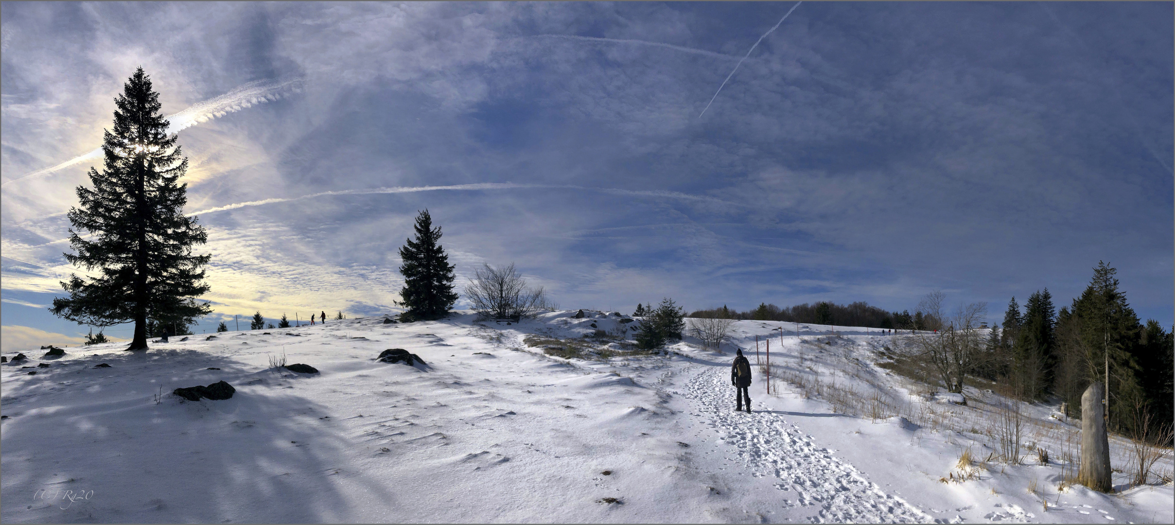 spaziergang im schnee