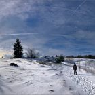 spaziergang im schnee