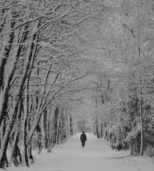 Spaziergang im Schnee