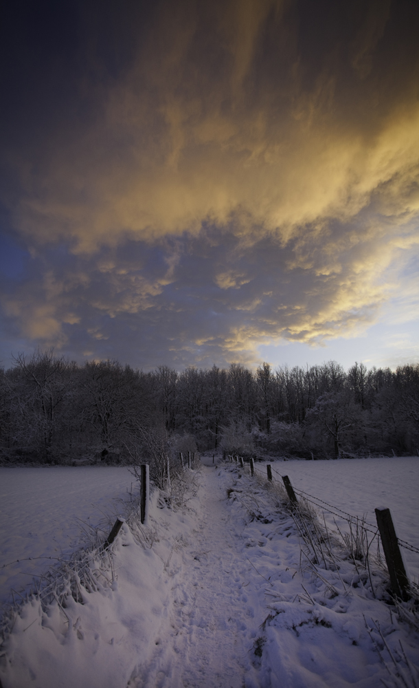 Spaziergang im Schnee