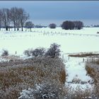 -Spaziergang im Schnee-