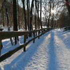 Spaziergang im Schnee