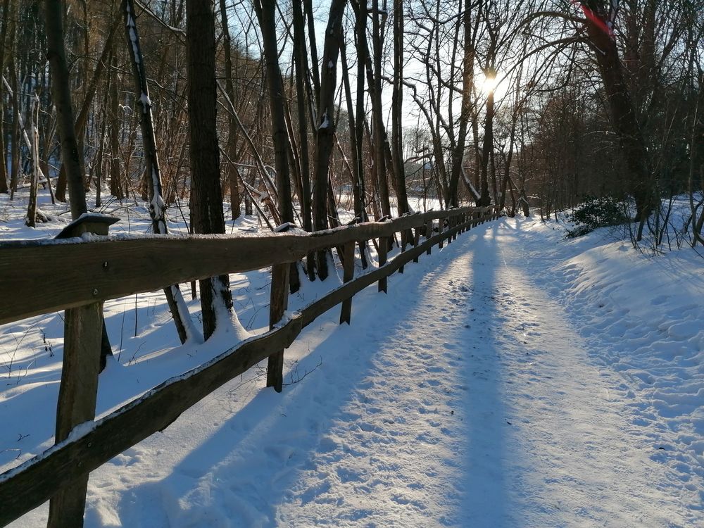 Spaziergang im Schnee