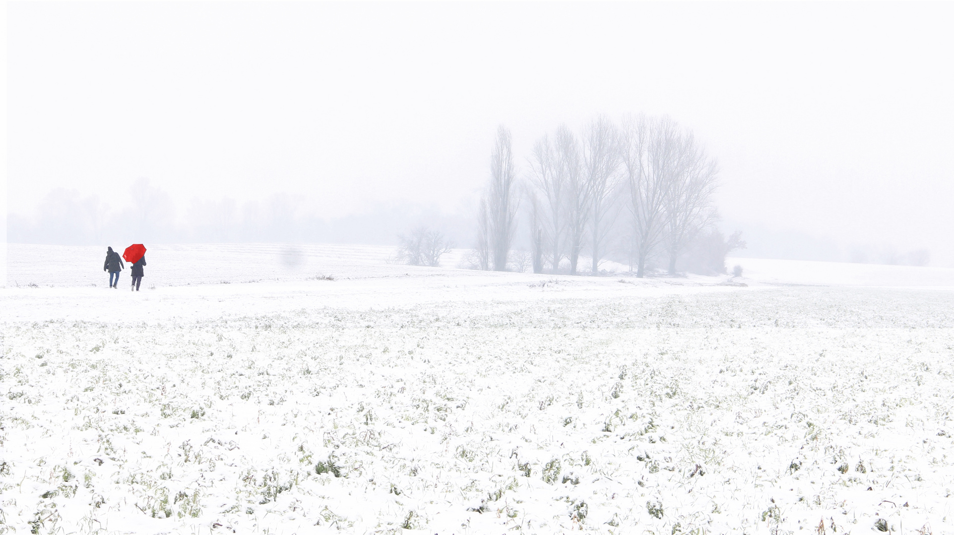 Spaziergang im Schnee 