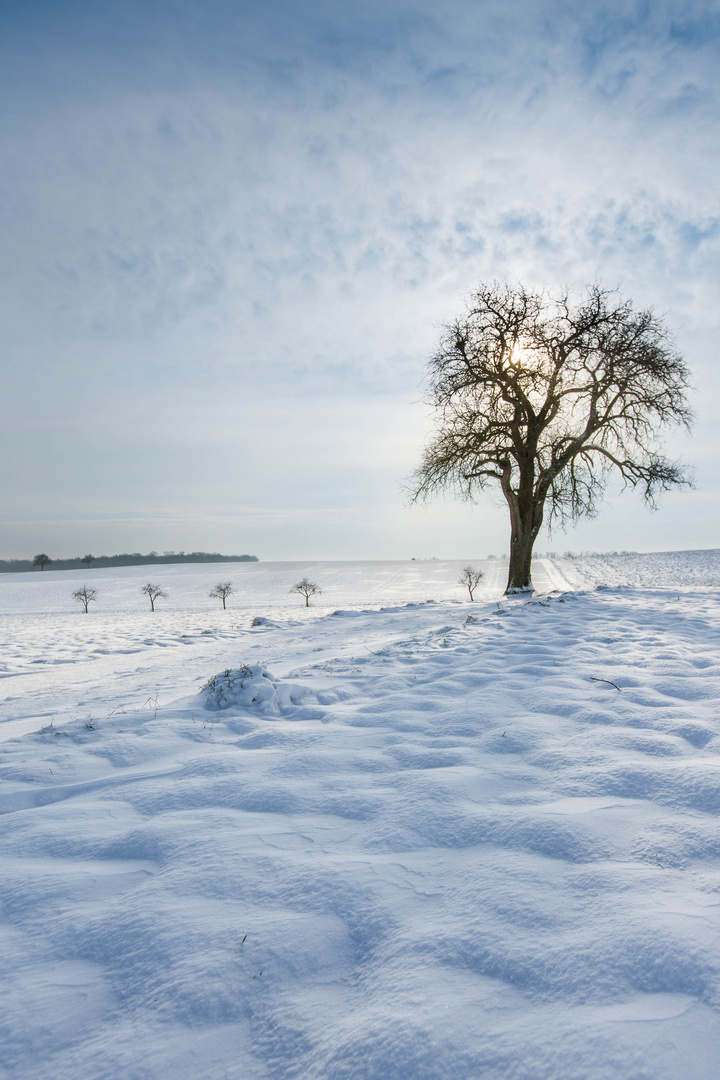 Spaziergang im Schnee