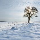 Spaziergang im Schnee