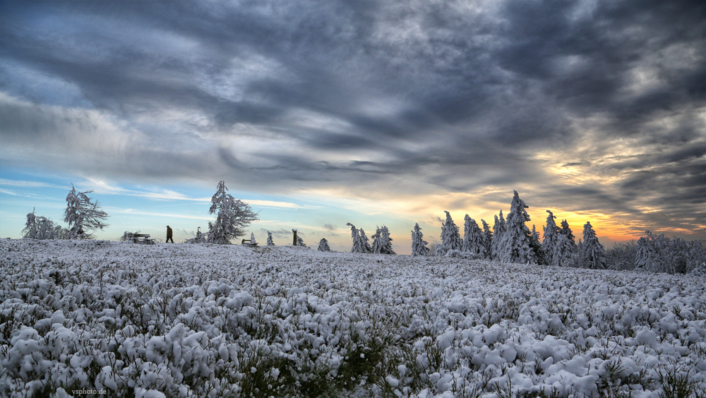 Spaziergang im Schnee