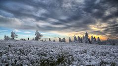 Spaziergang im Schnee