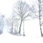 Spaziergang im Schneegestöber
