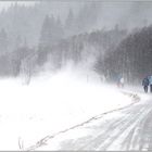 Spaziergang im Schneesturm