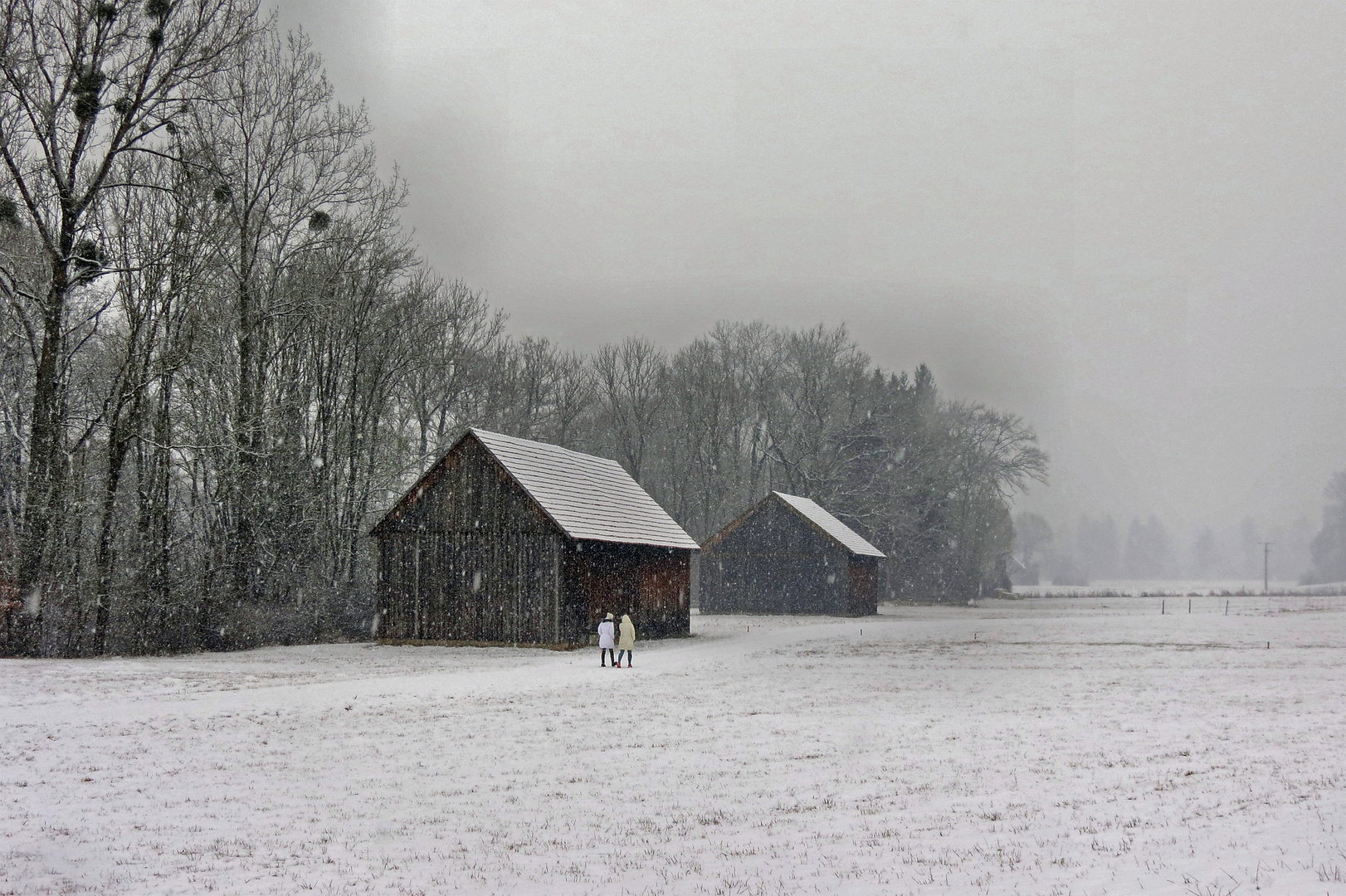 Spaziergang im Schneetreiben