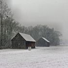 Spaziergang im Schneetreiben