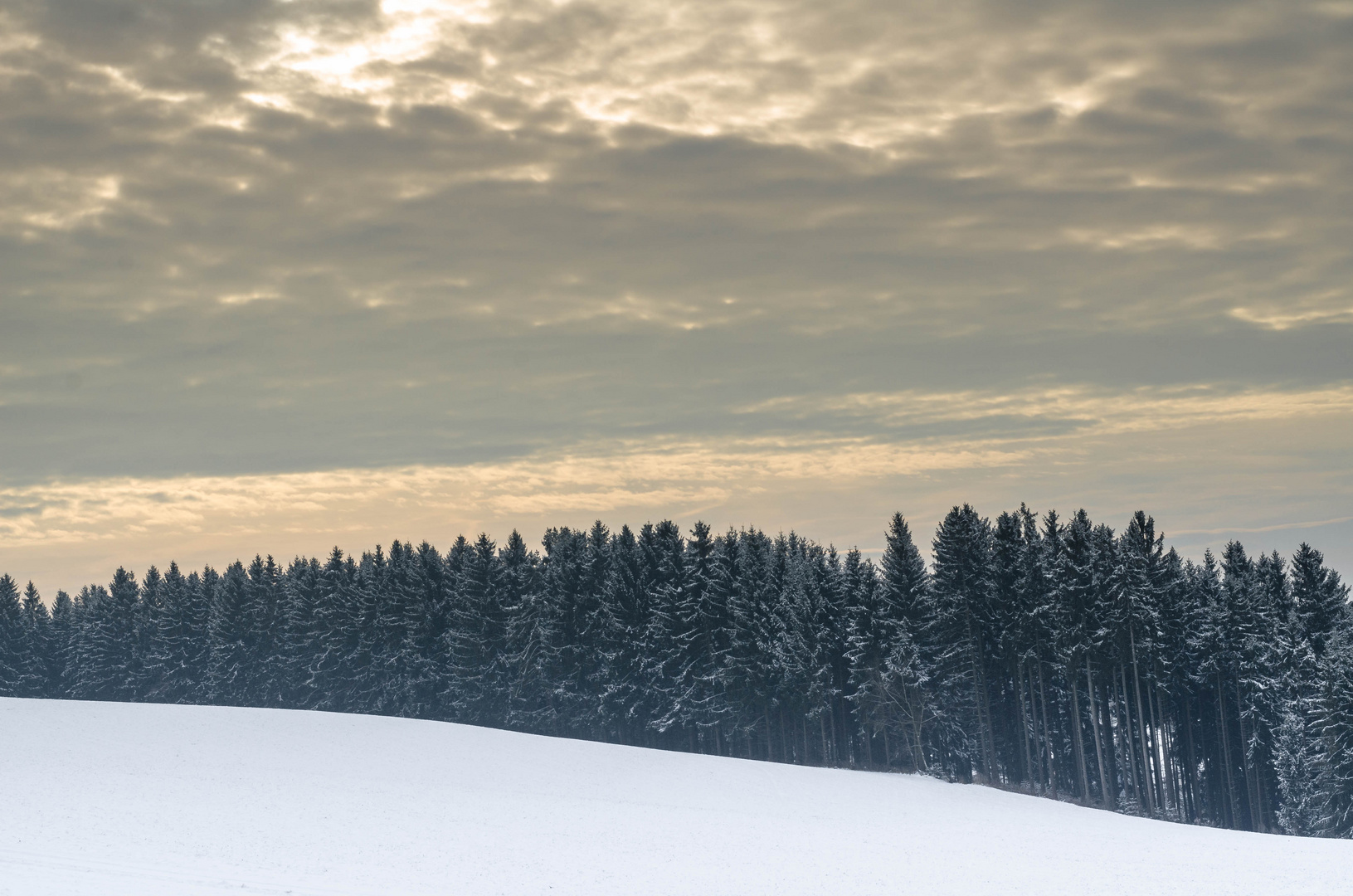 Spaziergang im schönen Mühlviertel