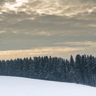 Spaziergang im schönen Mühlviertel