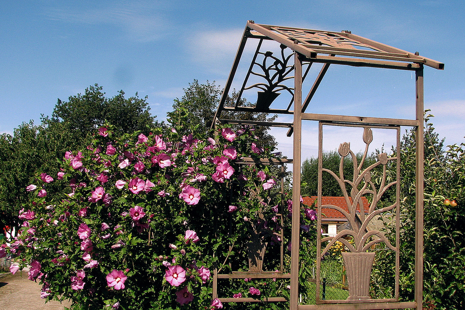 Spaziergang im Schrebergarten