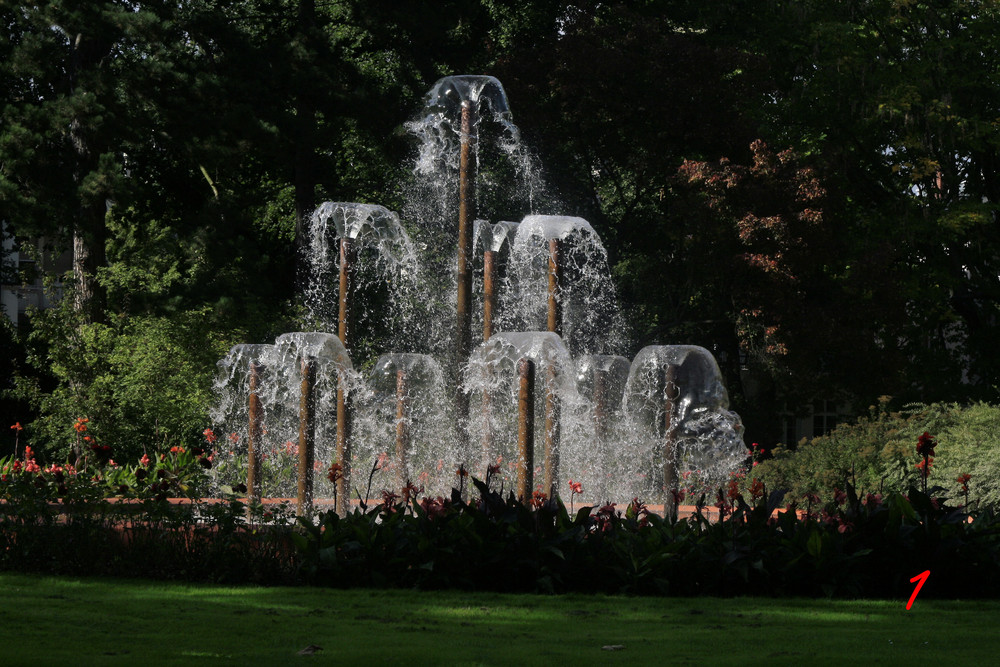 Spaziergang im Skulpturenpark 1