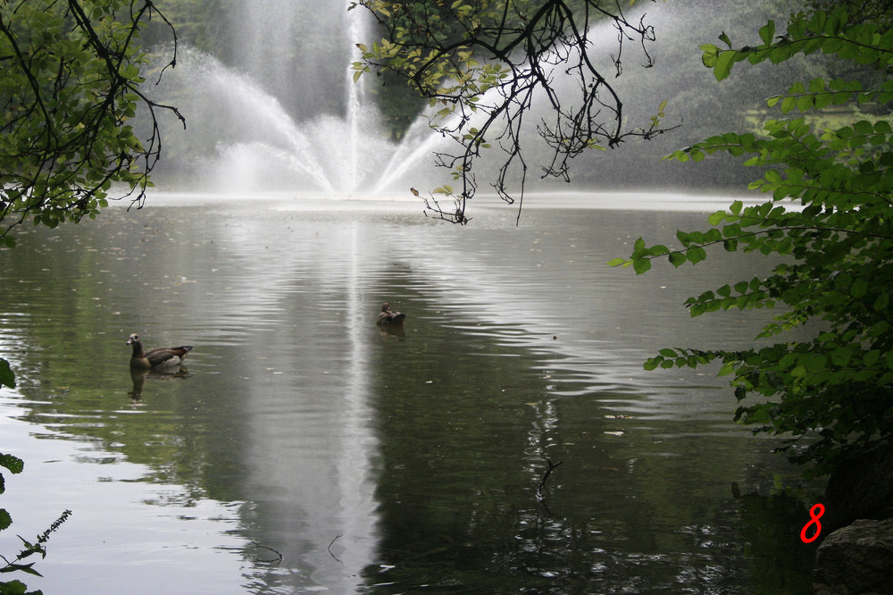 Spaziergang im Skulpturenpark 8