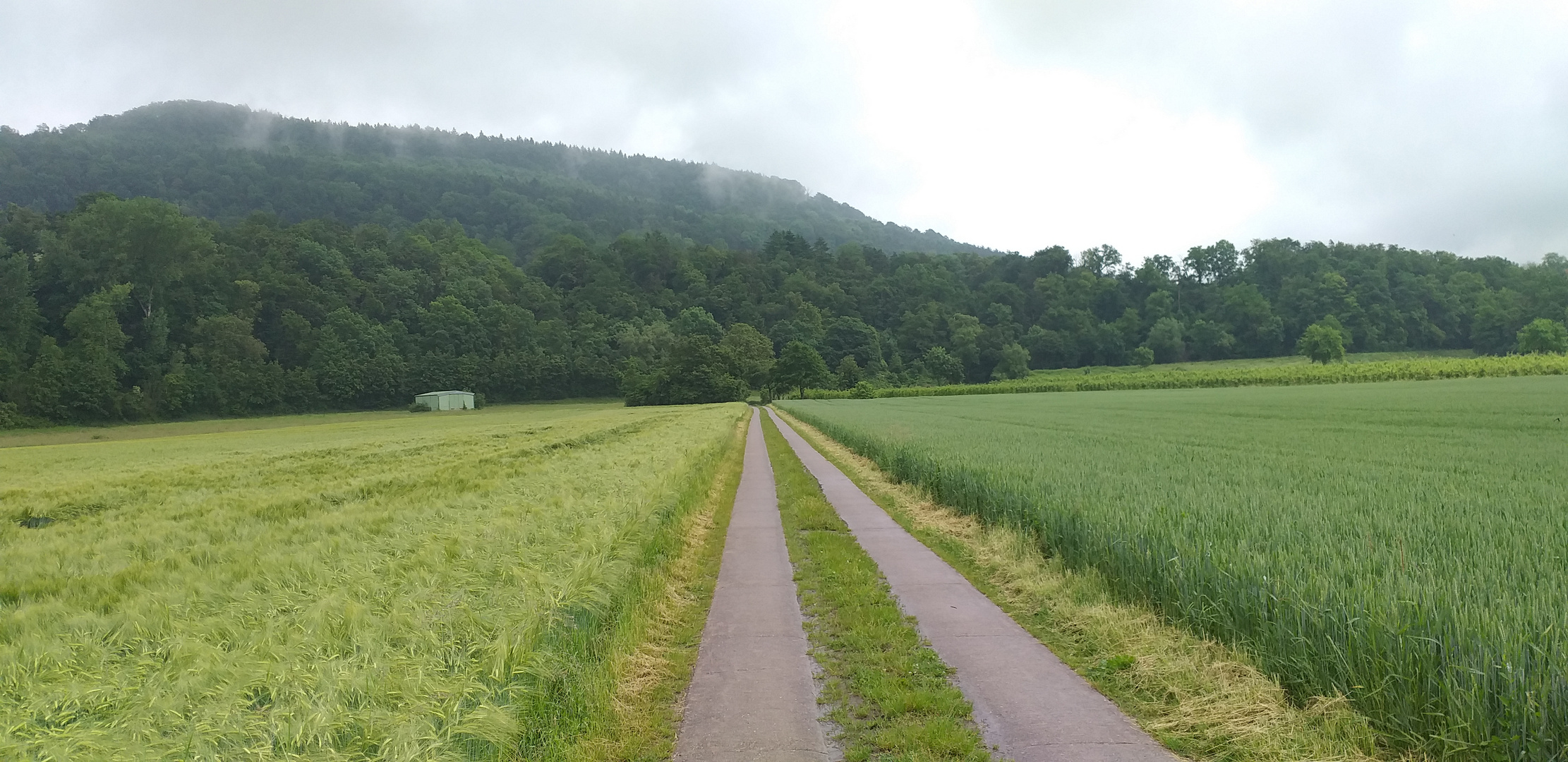 Spaziergang im Sommer