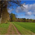 Spaziergang im Sonnenschein