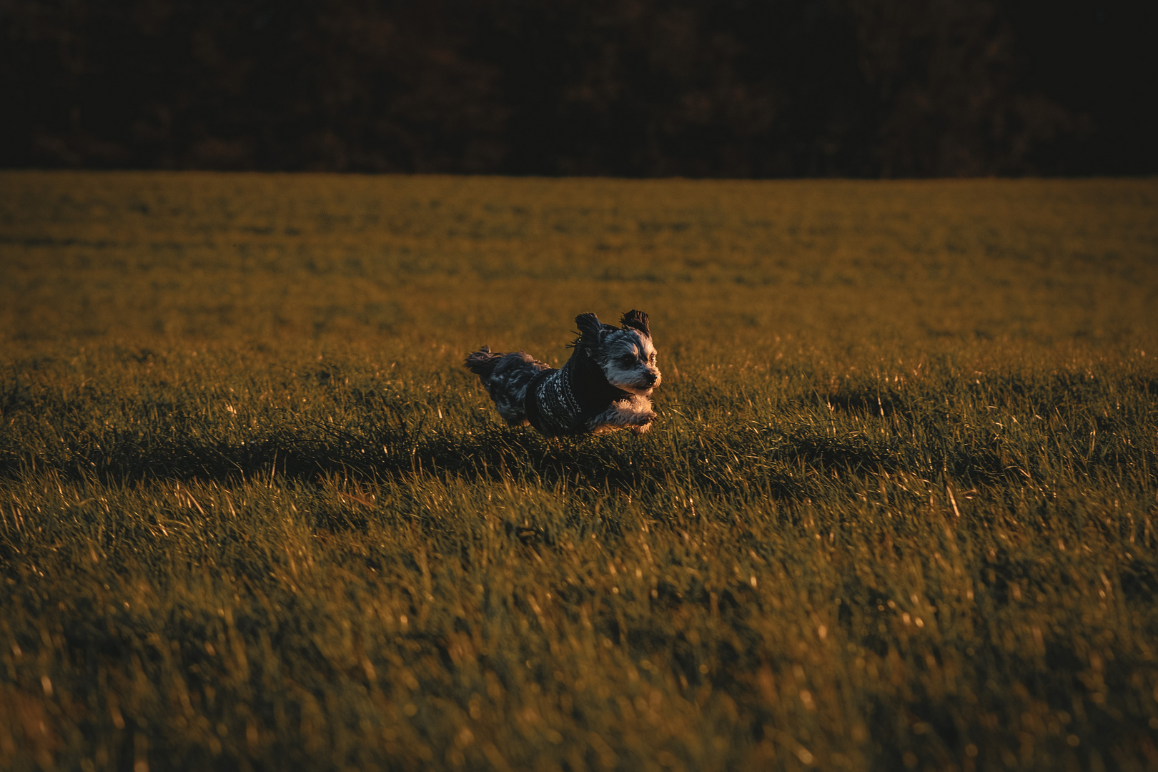 Spaziergang im Sonnenuntergang