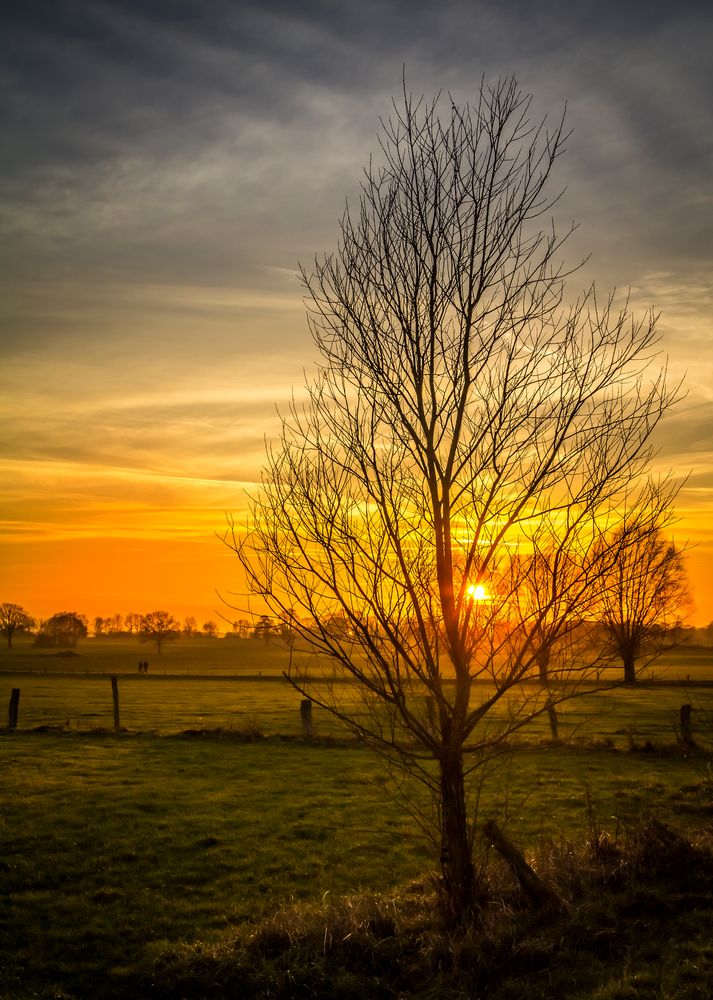 Spaziergang im Sonnenuntergang