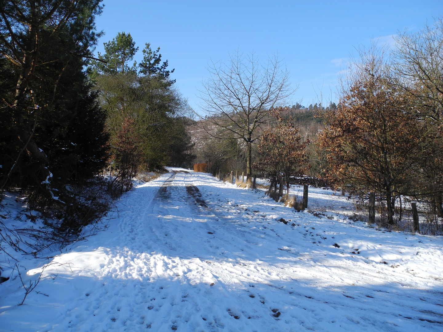 Spaziergang im Spessart