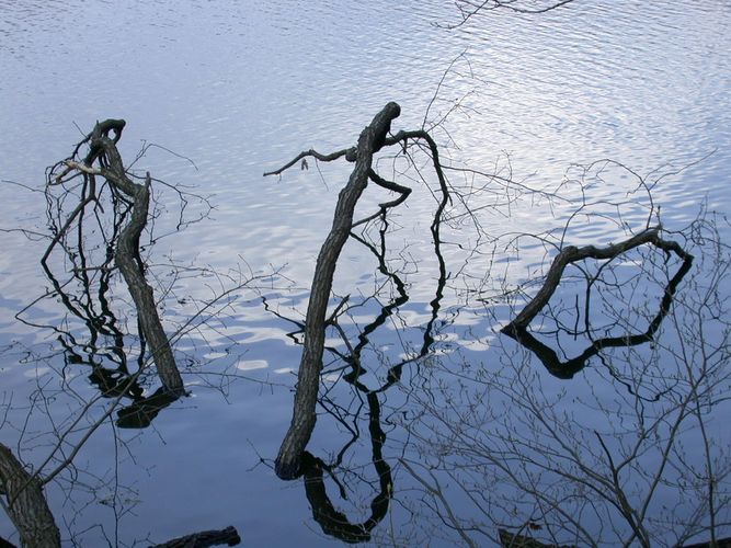 Spaziergang im Spreewald