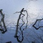 Spaziergang im Spreewald