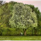 Spaziergang im Stadtpark