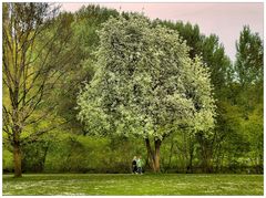 Spaziergang im Stadtpark