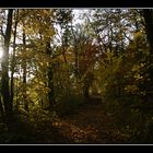 Spaziergang im Sternbusch bei Borken