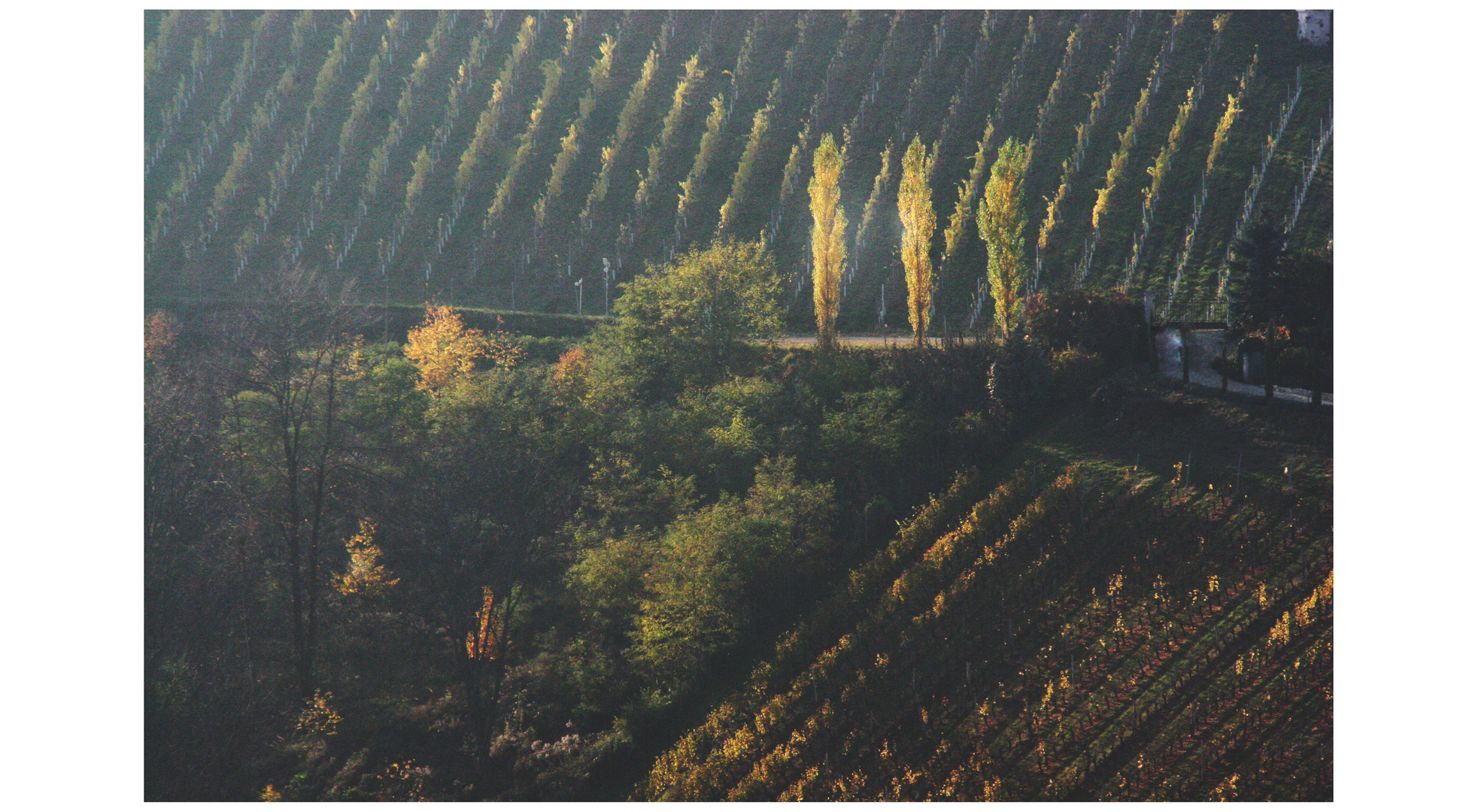 Spaziergang im Süden der Steiermark