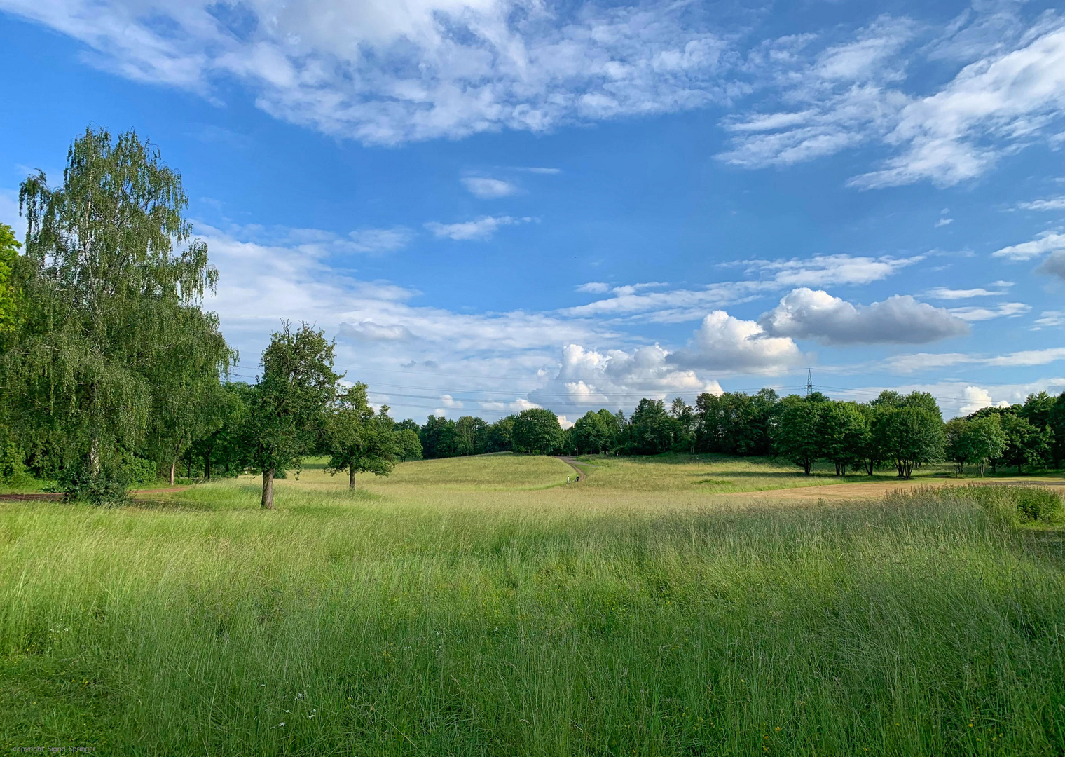 Spaziergang im Südpark