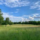 Spaziergang im Südpark