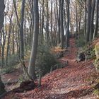 Spaziergang im Teutoburger Wald