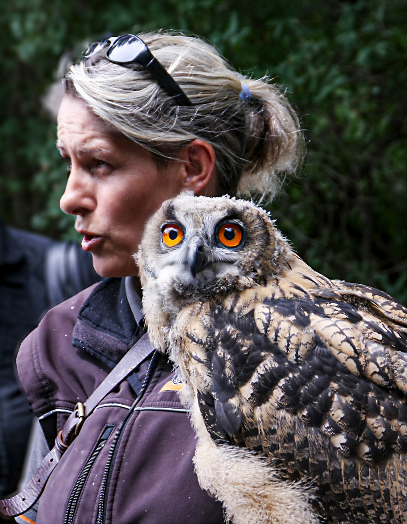 Spaziergang im Tierpark