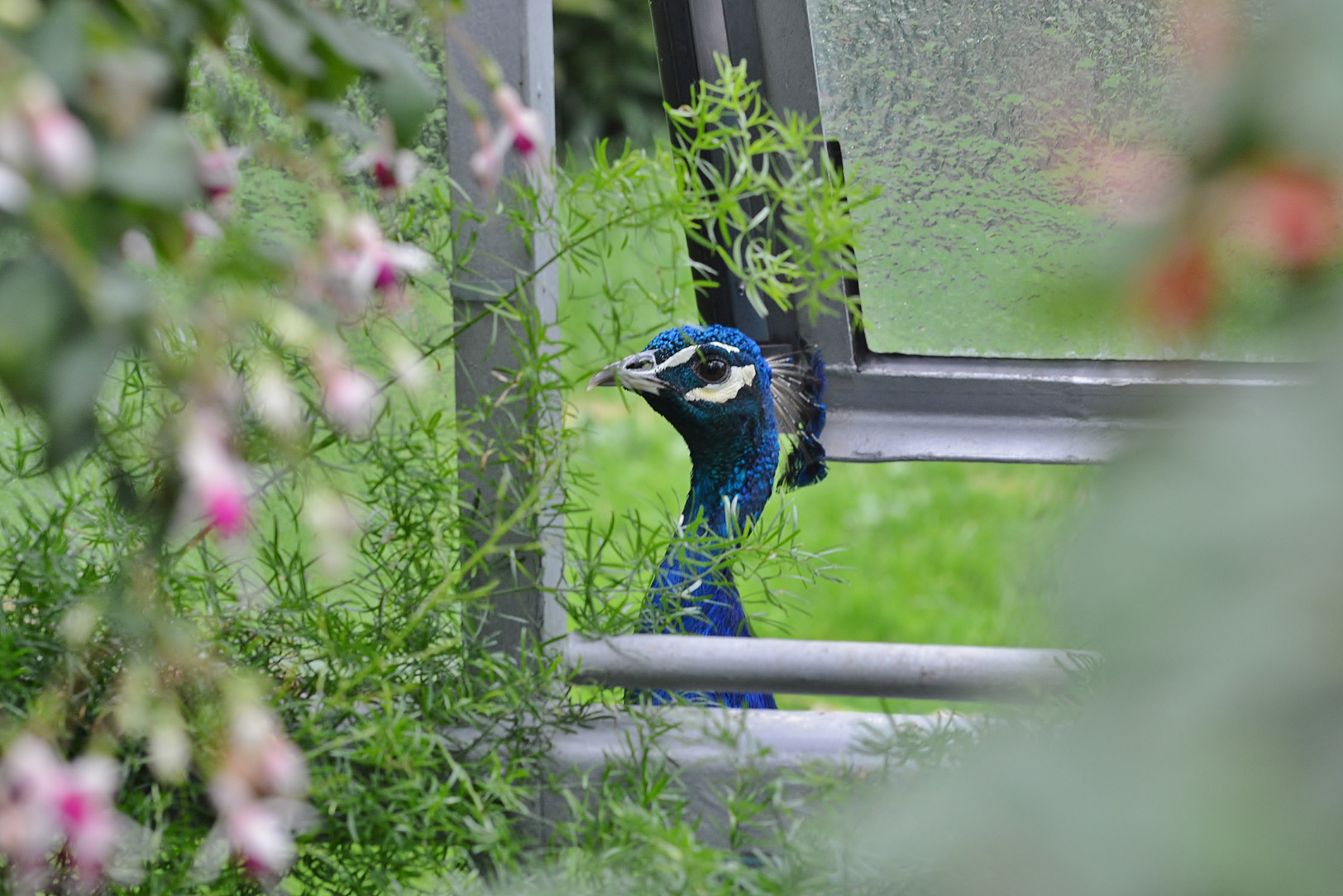 Spaziergang im Tierpark Wilhelma