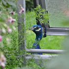 Spaziergang im Tierpark Wilhelma