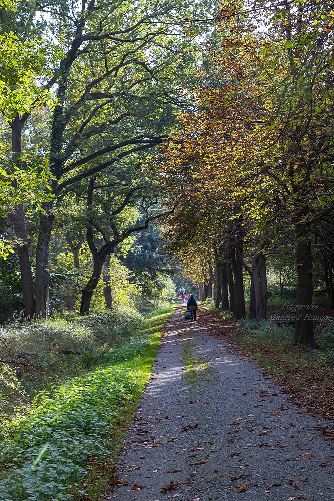 Spaziergang im Wald / 211010 / 05