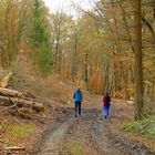 °°°° Spaziergang im Wald °°°°